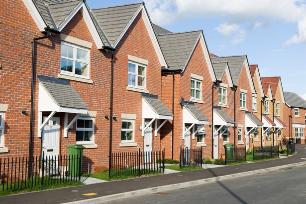 Seniors are causing the housing shortage-Report