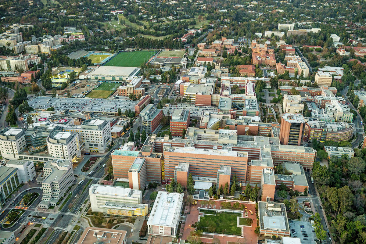 Why a U.S. university endowment invested 60% of its cash in real estate