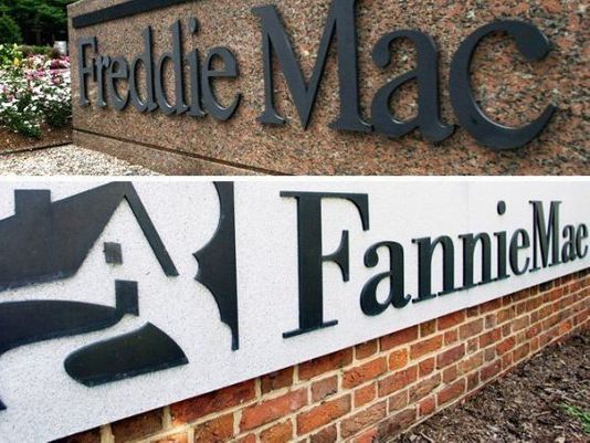 Privatize Freddie Mac and Fannie Mae