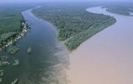 YG-CONSULT Urges Govt To Develop Rivers Niger and Benue.