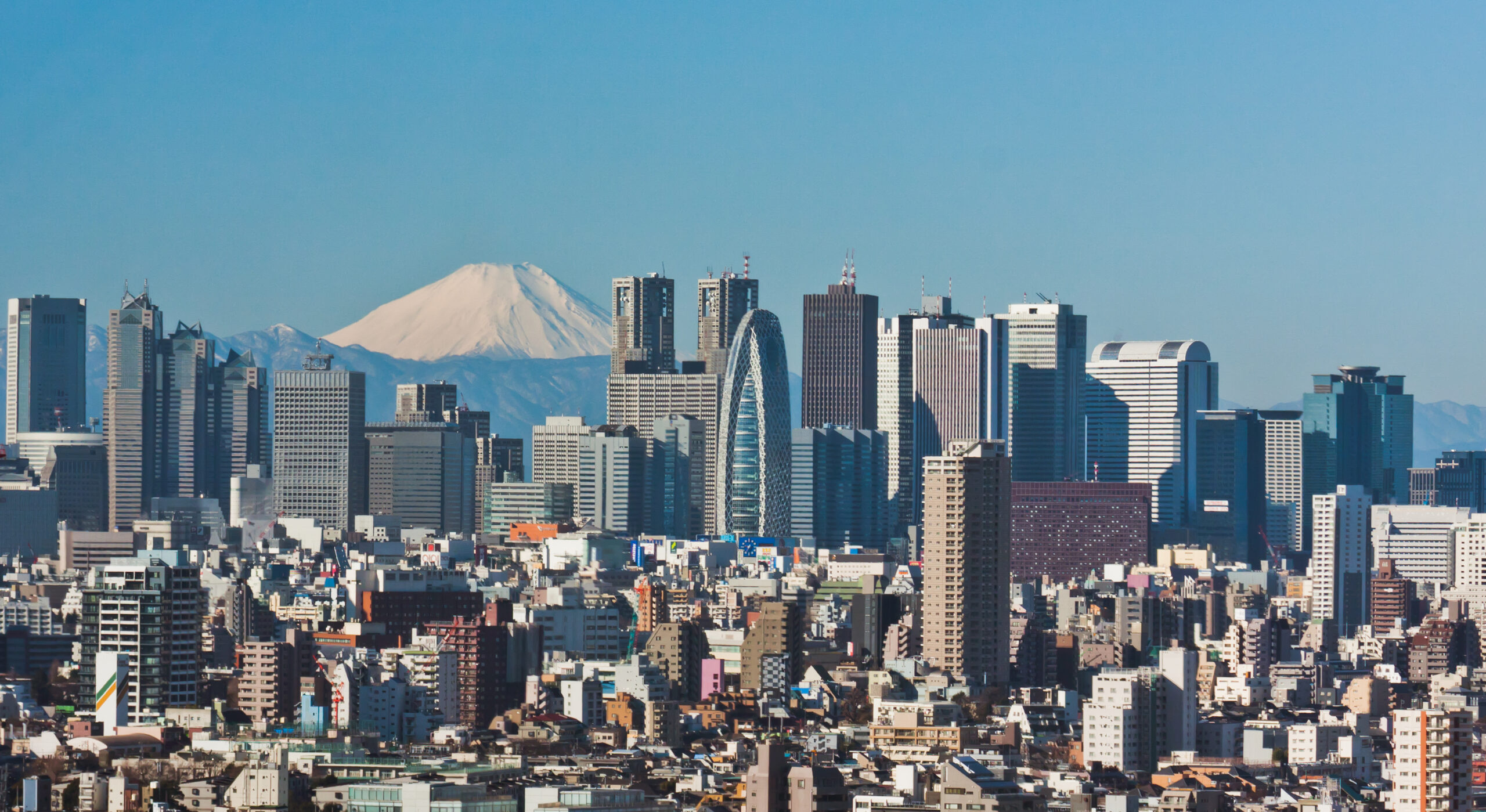 Skyscrapers of Shinjuku 2009 January revised scaled