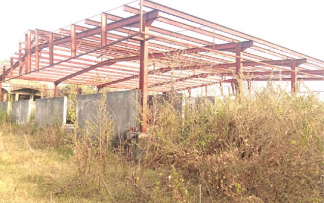 A section inside the Dei Dei market overgrown by grass 637x400 1