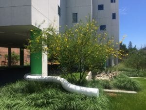 Resilience in the Face of a Pandemic: Green Affordable Housing Matters More Than Ever