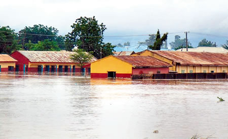 Adamawa flood
