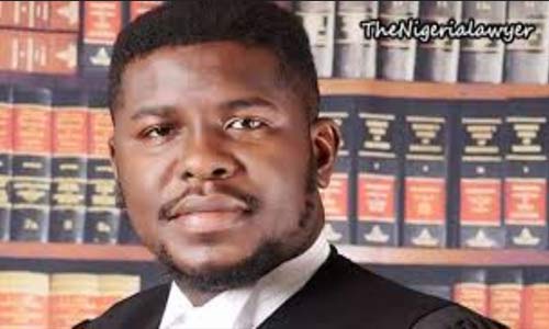 the nigerian lawyer