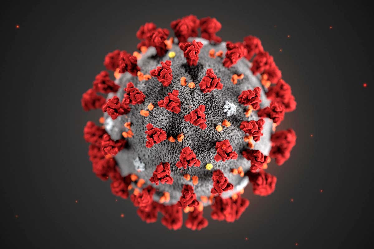 Should you be worried about Omicron, new covid variant?