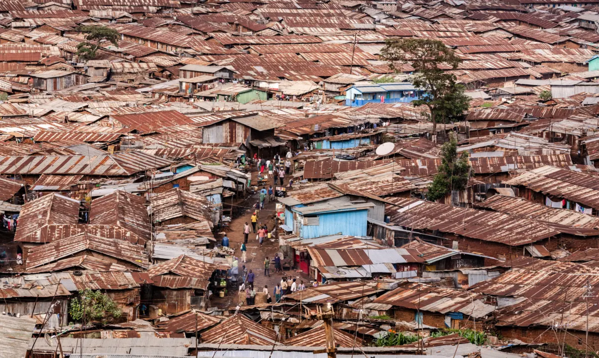 Dense Slum Dwellers Worst Affected by Zoonotic Pandemic, Experts Say