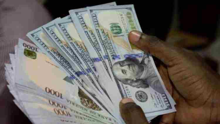 Insights on economy and foreign exchange dynamics [Opinion]