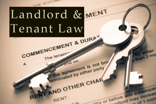 tenant law nigerian infopedia