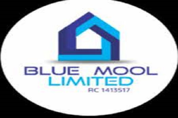 BLUE MOOL Limited