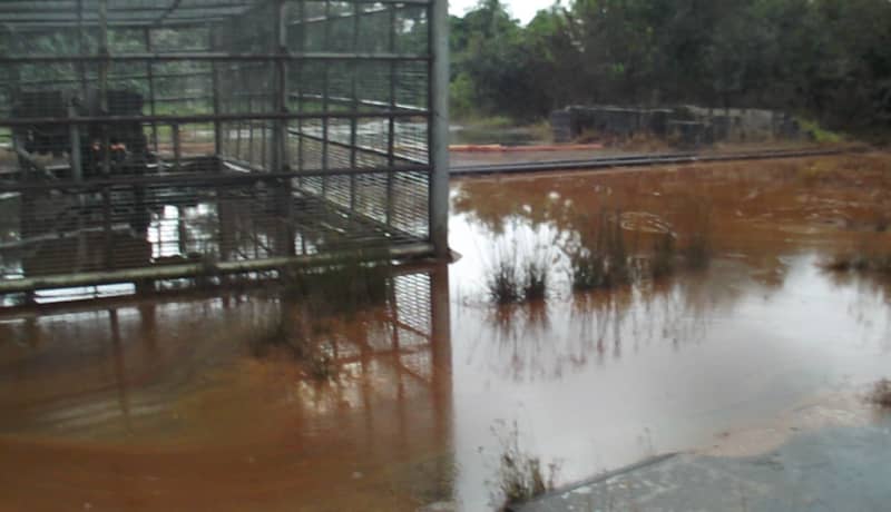 Bayelsa residents blame equipment failure as oil spill hits Community