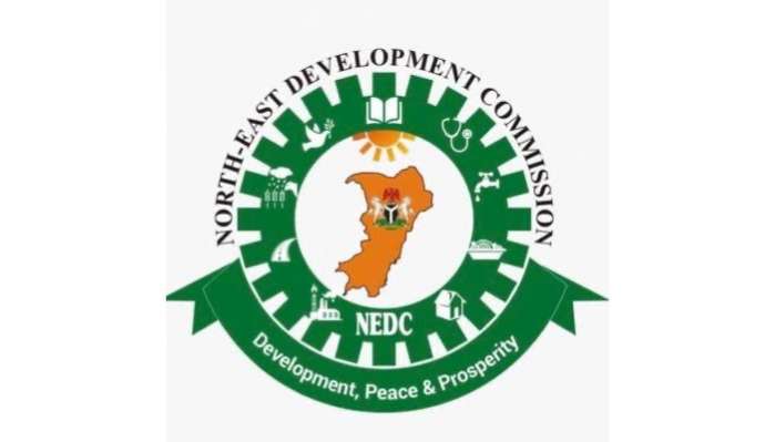 NEDC flags off mass housing to construct 500 units in Taraba