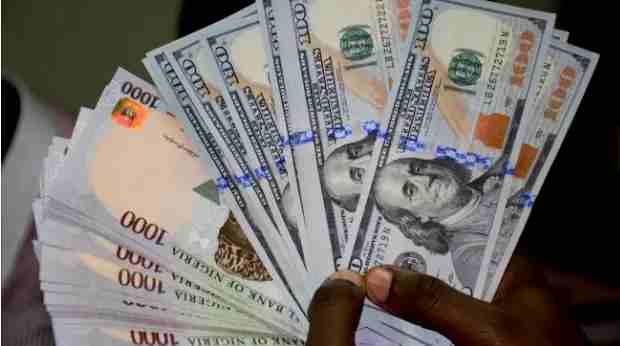 Understanding Foreign Exchange, External Reserves and the Naira Exchange Rate