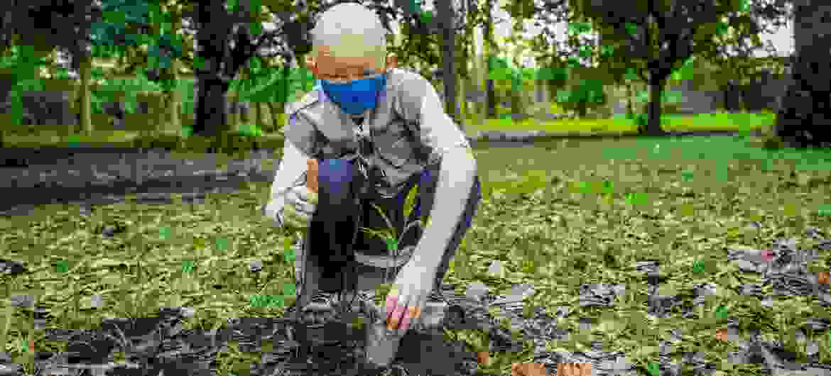 Access to a healthy environment, declared a human right by UN rights council