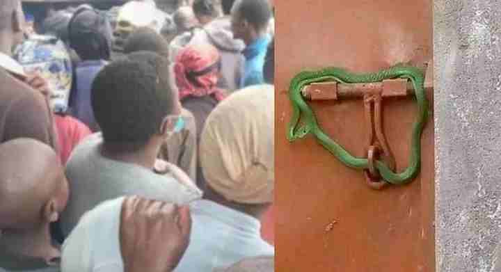 Angry Landlord ‘Locks Gate With Snake’ After Tenants Fall Behind On Rent