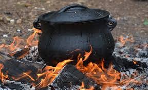 Firewood business booms as Nigerians abandon costly cooking gas