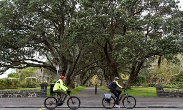 Mature trees are key to liveable cities – housing intensification