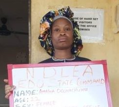 NDLEA Nabs Suspect’s Girlfriend With Cocaine Inside Cooked Rice