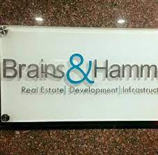 Brains and Hammers