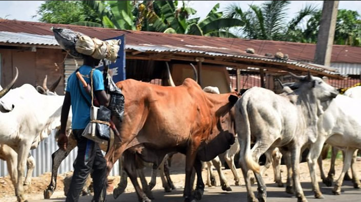 Benue-Fulani Herdsmen