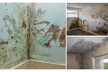Ways To Reduce Maintenance Cost On Building Dampness