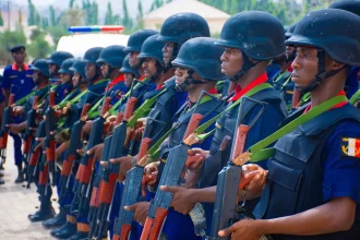 Kano NSCDC Arrests 7 Suspects for Vandalizing Cables