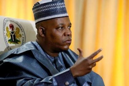 Nigeria’s economy will pick up in less than 15 months – Shettima