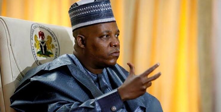 Nigeria’s economy will pick up in less than 15 months – Shettima