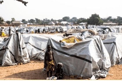 Benue state gov't begins efforts to relocate IDPs back to native areas
