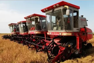 How China is helping Nigeria to attain food security