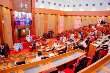 Senate Vows Oversight on N1 Trillion Solid Minerals Allocation in 2025 Budget