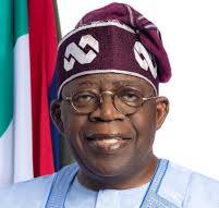 Tinubu to Governors: Prioritize Results Over Criticism
